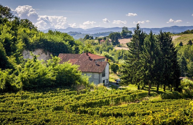 Charming private countryhouse immersed in the vineyards