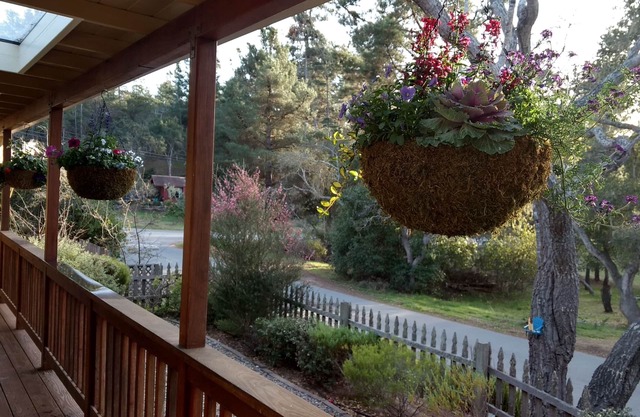 Charming Remodeled Single Level. HotTub. Fenced backyard. Porch view!