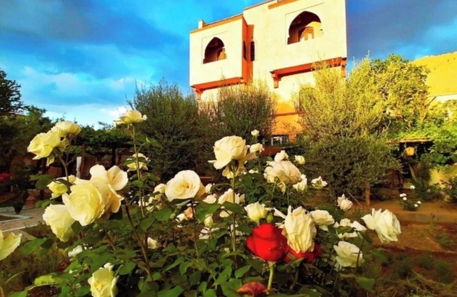 Charming Riad in the middle of nature