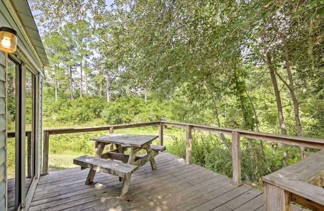 Charming Silver Springs Cabin w/Forest Views!