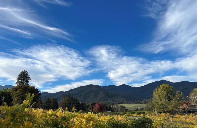 Charming stay at Little Hooves Farm & Vineyard