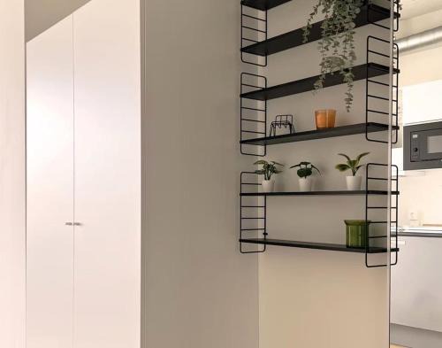 Charming Studio 5