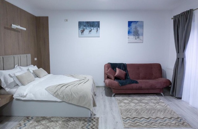 Charming Studio in Frasin