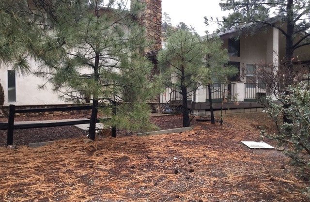 Charming two bedroom cabin located in the Hualapai mountains sleeps 8