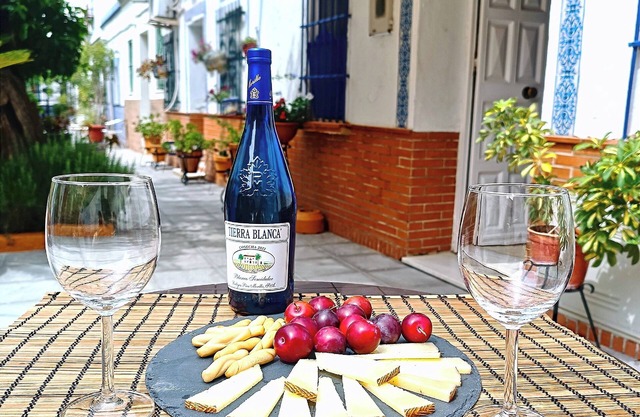 Charming, typical and picturesque neighborhood courtyard, TRIANA