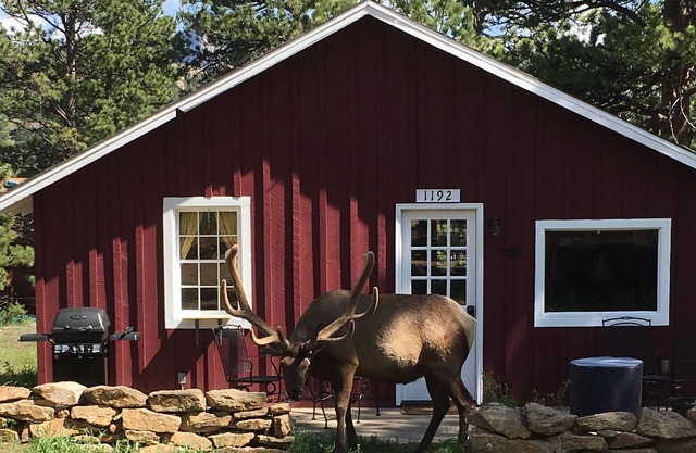 Charming Updated Rustic Cabin. Excellent Location Close to Town and RMNP!