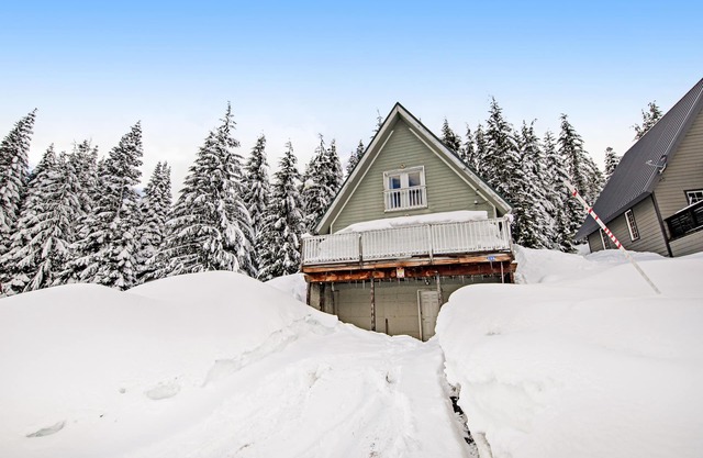 Charming, walk-to-lifts cabin with mountain views, kayaks & arcade game