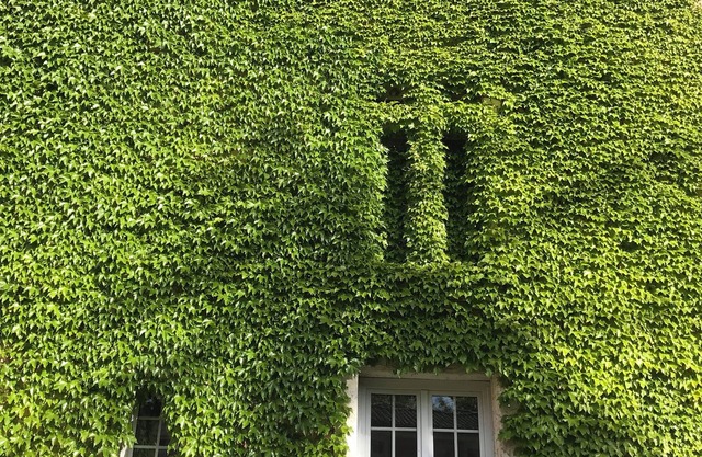 Chateau d Artigues