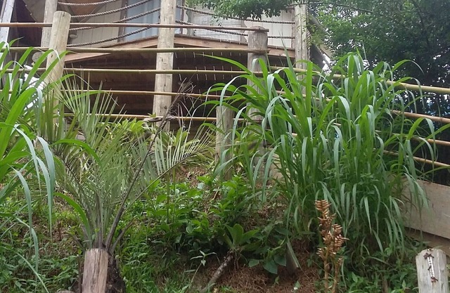 Cheap Season House in Praia do Rosa
