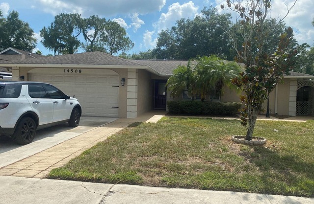 Cheerful, family friendly home