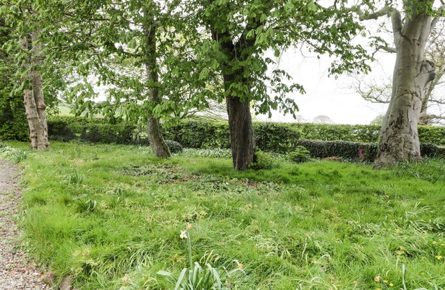 Chestnut Cottage