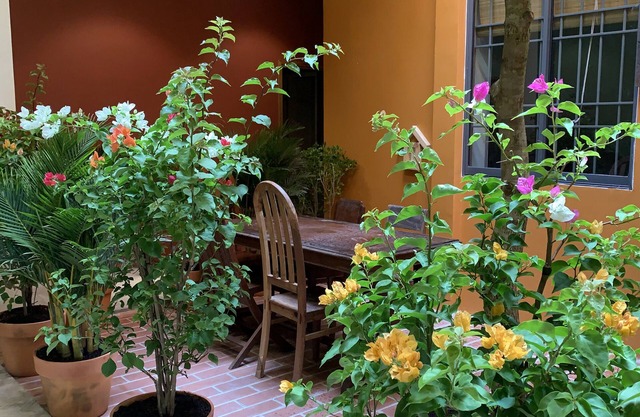 Chi Hieu Homestay