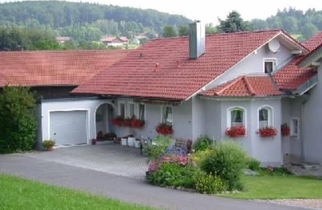 Children and pet friendly holiday apartment in the Bay. Forest