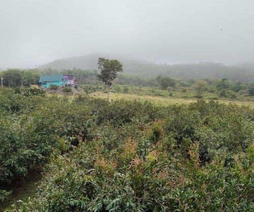 Chomview Hut