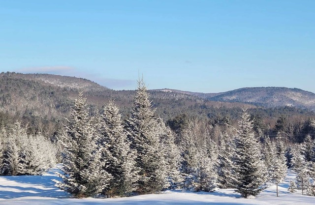 Christmas Tree Farmhouse stay with great view and 16 acres of walking trails