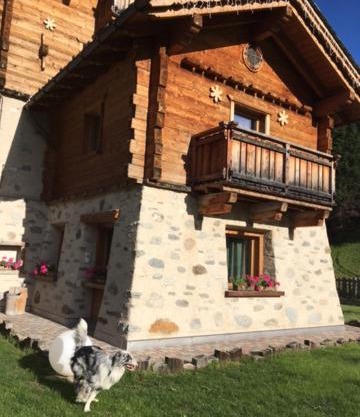 Chrys chalet