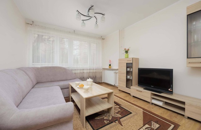 Cieszyńska 5 | Family apartment | Playground
