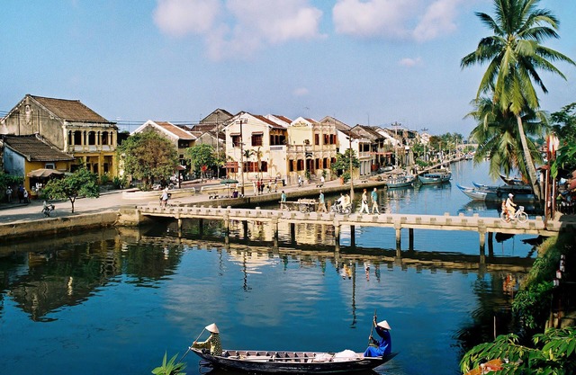 Cilantro Villa
