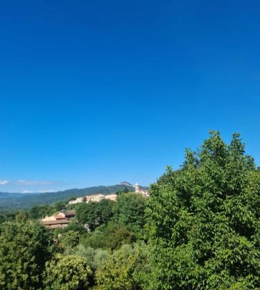 Cilento House Garden