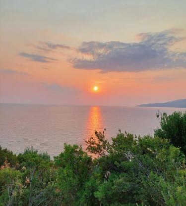 Cilento Paradise - Appartamento con terrazzo in Marina di Pisciotta