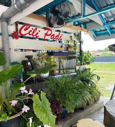 CILI PADI GUESTHOUSE