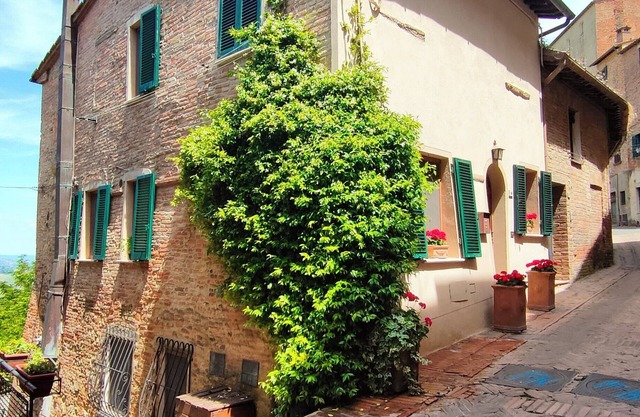 Ciliano 16