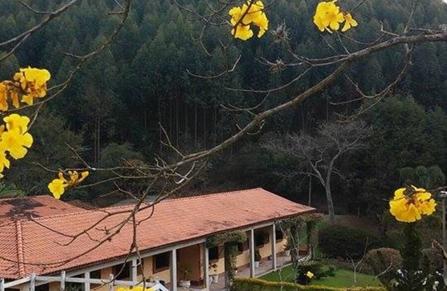 CINEMATOGRAPHIC, COZY private! Horse near the end of the week 24-25 Aug 1,200
