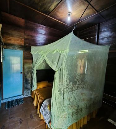 Cinta alam inn