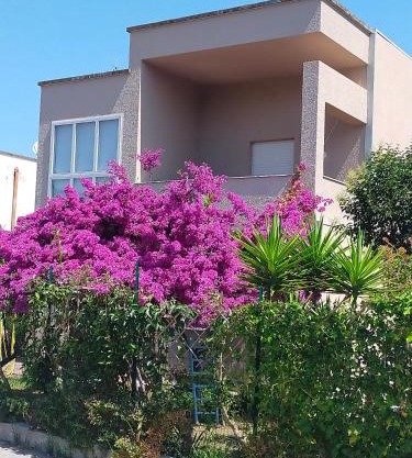 Cinzia House