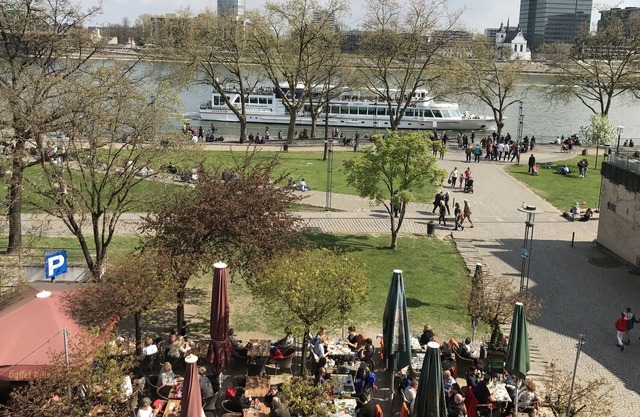 City Apartment 1-5 Rhein river view