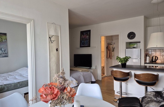 City Apartment in Copenhagen with 1 bedrooms sleeps 3