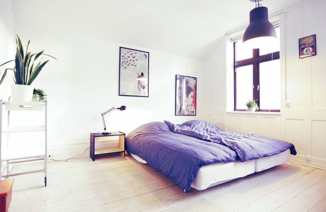 City Apartment in Frederiksberg with 3 bedrooms sleeps 6