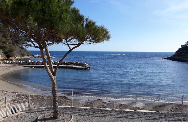 CITY CENTER - 250m BEACHES -200m PORT