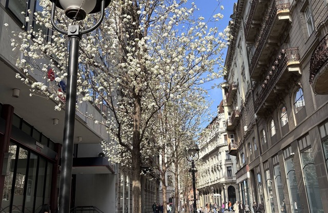 City Center Knez Apartment