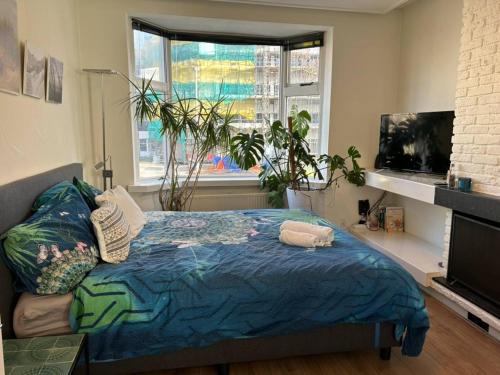 City Center Rooms with Shared Facilities by UMCG