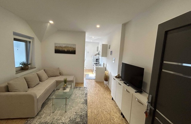 City Modern and Vibrant Apartments Ljubljana - Standard One Bedroom Apartment