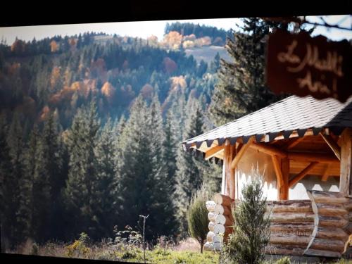 Ciumarna Holiday House