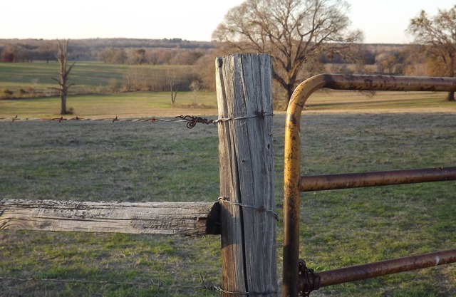 Classic Family Ranch - Experience Real Texas Country