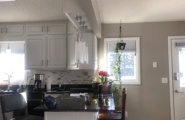 classic whole home with fireplace near airport mall of America