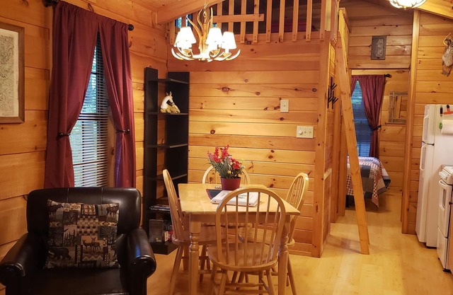 Clean, private cabin just 3 miles to Waynesville on a paved road. 1 of 2 cabins