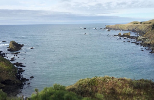 Cliffside Mendocino "Desire" Cabin with Ocean Views