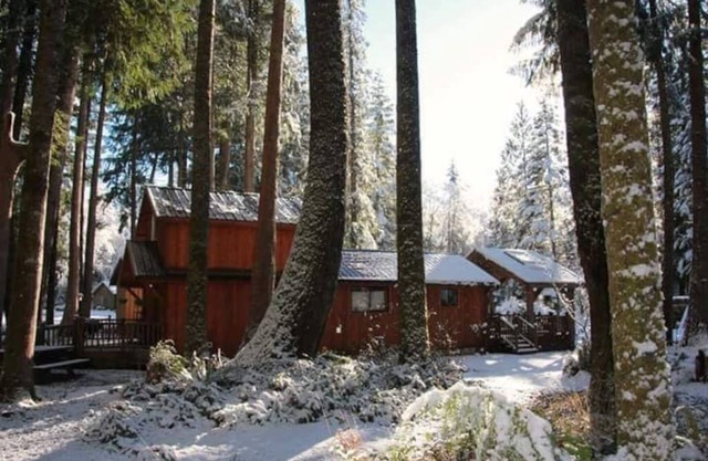 Close to Mt. Rainier. AC in the summer Wood stove for Emergency heat & cooking.