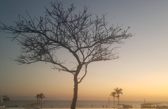 Closest to the Beach