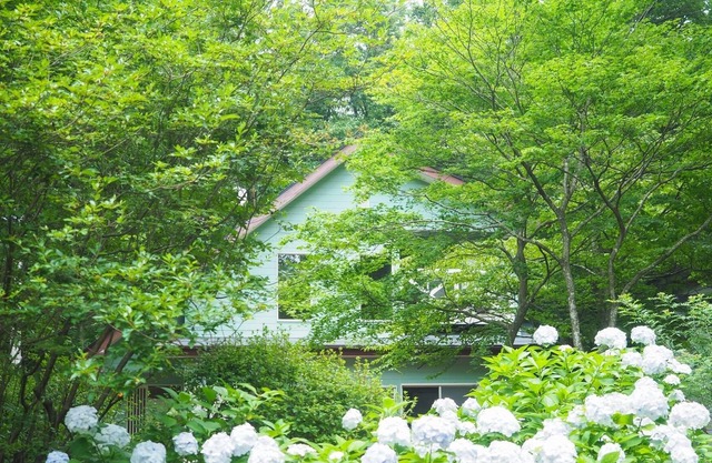 Clover house Enjoy the silence and sing the birds - Clover House / Nasu-gun Tochigi