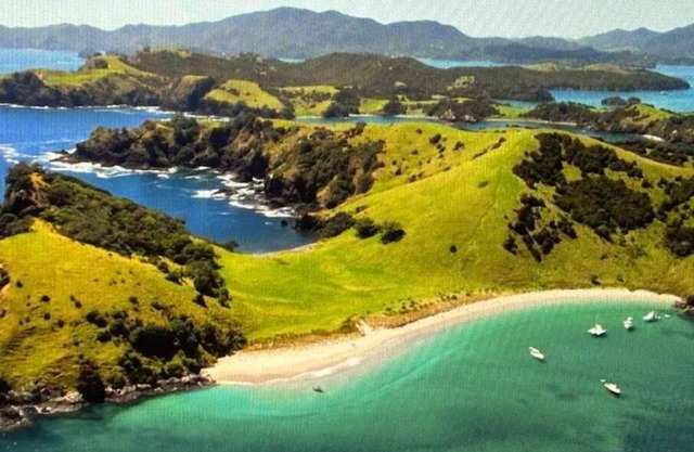 Club Paihia Resort 1