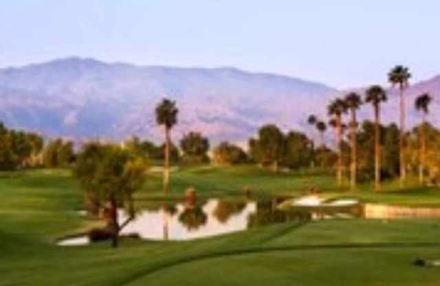 Coachella 2025-Desert Oasis Resort