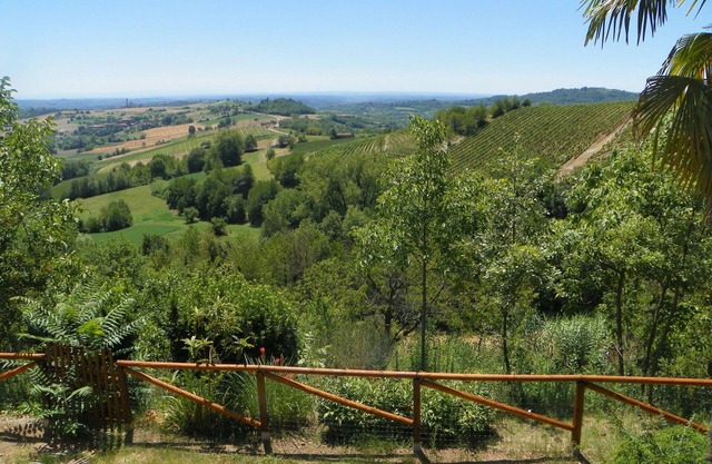 Cocconato: detached house with private garden and views