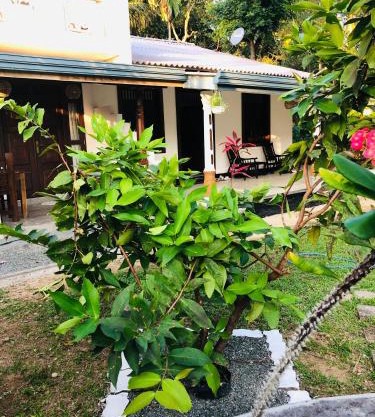 Coco Breeze Villa