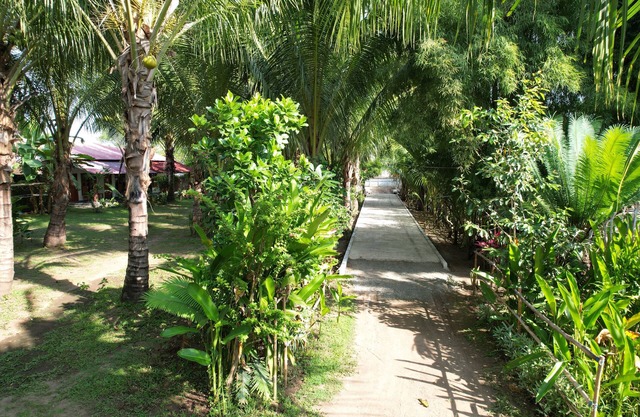 Coconut homstay