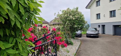 Coeur du Léman